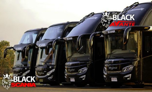Android application Night Bus Double Decker Wallpa screenshort