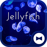 Beautiful Wallpaper Jellyfish Theme icon