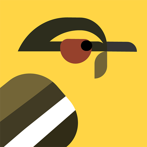 Find the Birds 0.31 Icon