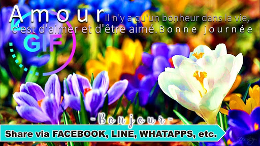 French Good Morning Night Gif Screen 3