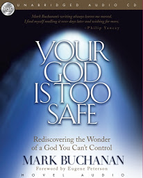 Icon image Your God Is Too Safe: Rediscovering the Wonder of a God You Can't Control
