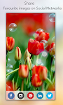 screenshot of Flowers Wallpapers HD