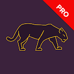 Cover Image of डाउनलोड Panther VPN. Fast & Secure WiFi Protection 2.2.7 APK