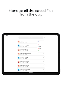Screenshot image