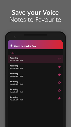 Voice Recorder  Voice Memos PRO