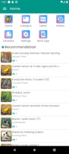 Android application Suara Burung Perkutut Pikat screenshort