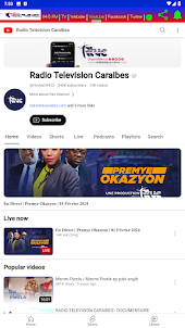 Radio Television Caraibes FM