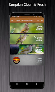 Kicau Kapas Tembak 1.1.0 APK + Mod (Free purchase) for Android
