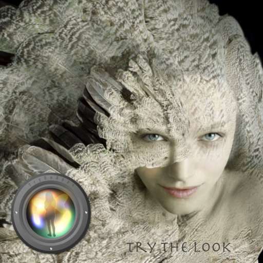Virtual Look Design logo
