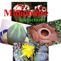 Millionaire pictures
