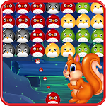Cover Image of Download Squirrel Bubble Shooter 2020  APK