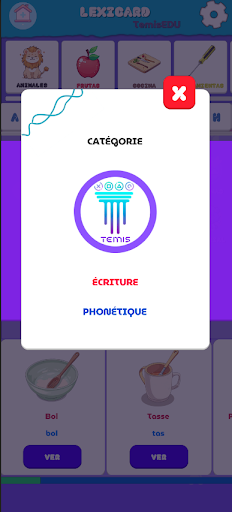 Lexicard vocabulary TemisEDU