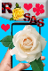 screenshot of Rosas bonitas para dedicar