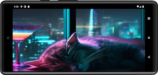 Cats Purr Screen 2