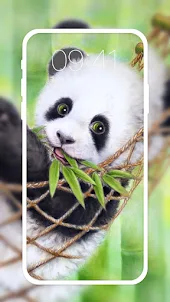 Cute Panda Live Wallpapers HD