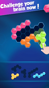 Hexa Puzzle Block Pro Games