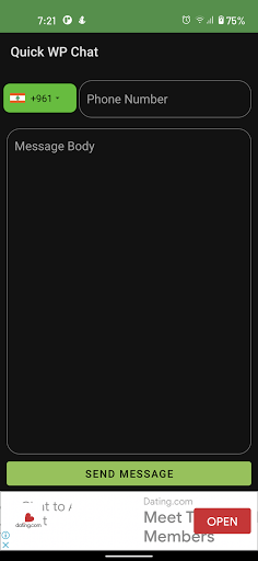 Quick WP Chat Screen 2