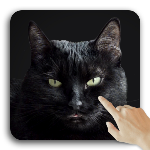 Descargar Lindo gato negro Fondos de pantalla animados para PC Windows 7, 8, 10, 11