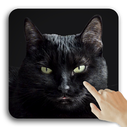 صورة رمز لطيف القط الأسود خلفيات حية.