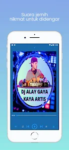 DJ Alay Gaya Kaya Artis