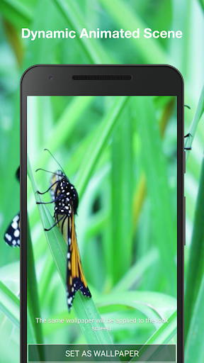 Butterfly Live Wallpaper Screen 2