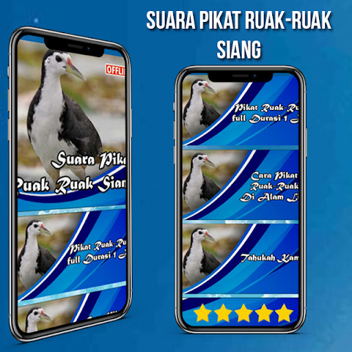 Android application Suara Pikat Ruak Ruak Siang screenshort