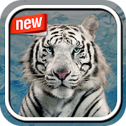 White Tiger Photo Frame 1.0.2 Icon