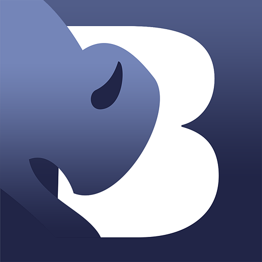 BISoN logo