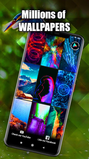 Birds Wallpaper Live 3D/HD/4K Screen 3