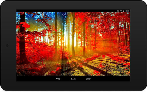 Autumn Trees Wallpapers