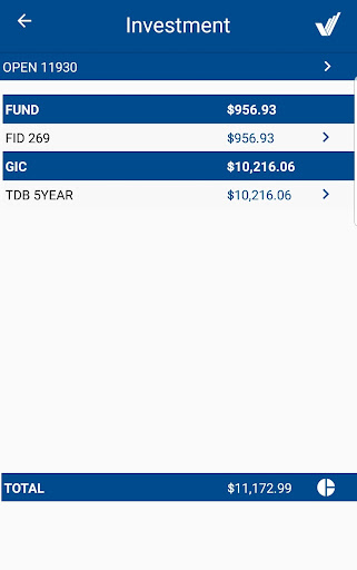 Security Financial Screen 2