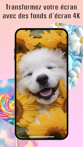 Aperçu de l'application