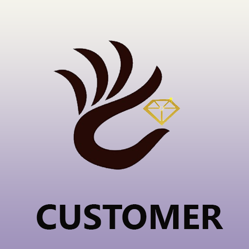 DC Jewelry - Customer logo