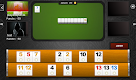 screenshot of Rummy PRO - Remi Pe Tabla