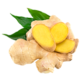 Health Benefits of Ginger icon