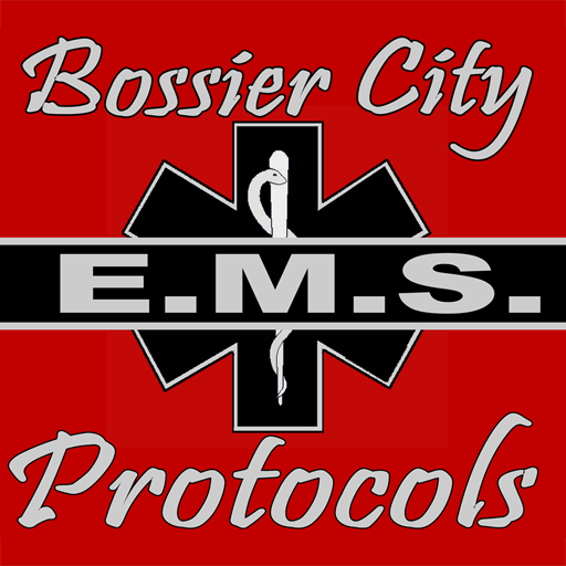 Bossier City Fire Department  Icon
