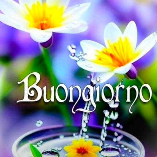 Buongiorno Immagini 2024 logo