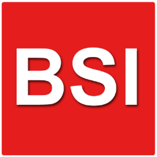 BSI-Auto logo