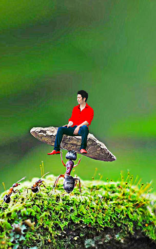 Miniature photo editor frames Screen 3