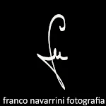 Franco Navarrini