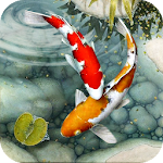 Cover Image of ダウンロード Fish Live Wallpaper free: Koi Fish Backgrounds HD 1.5 APK