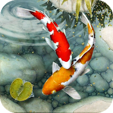 Fish Live Wallpaper free: Koi Fish Backgrounds HD - Latest version for  Android - Download APK