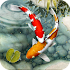 Fish Live Wallpaper free: Koi Fish Backgrounds HD1.4