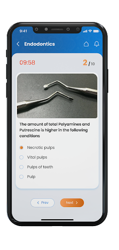 DentSapp Screenshot 4 - AppWisp.com