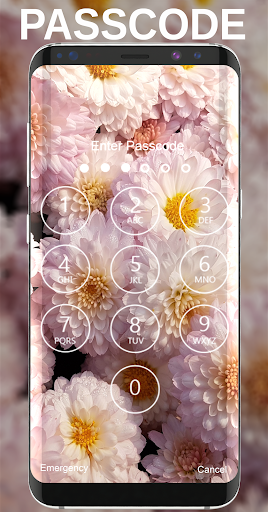 Chrysanthemums Wallpapers
