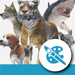 Cover Image of 下载 Animal Pose Collection  APK