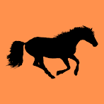 Shock Horse Escape