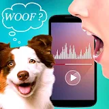 Translator for Dogs Prank icon