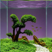 new aquarium design