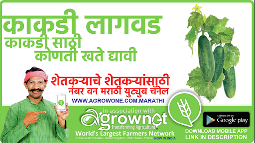 Android application तमालपत्र लागवड #Agrownet™ screenshort